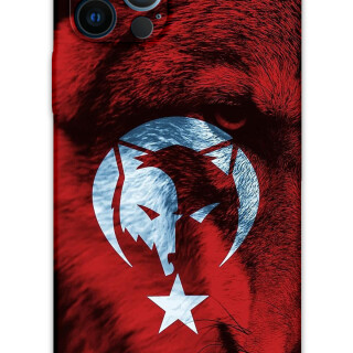 5856-iphone-12-pro-12-pro-max-turk-bayragi-desenli-kilif