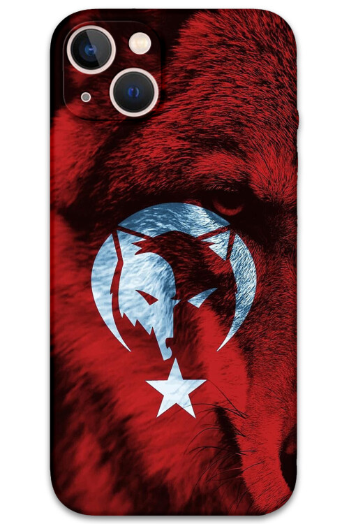 5856-iphone-13-14-15-turk-bayragi-desenli-kilif.jpg
