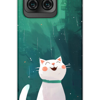 5781-reeder-s71-kedi-desenli-kilif