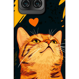 5783-reeder-s71-kedi-desenli-kilif