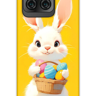 5806-reeder-s71-tavsan-desenli-kilif