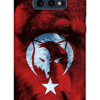 5856-galaxy-s10e-turk-bayragi-desenli-kilif