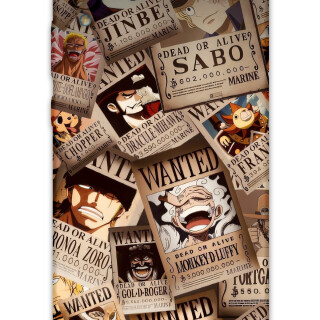 5888-huawei-y6-2019-one-piece-desenli-kilif