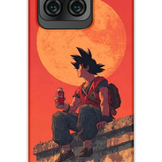 5900-reeder-s71-dragon-ball-desenli-kilif