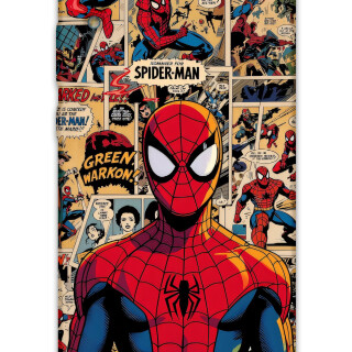 5934-huawei-y6-2019-spiderman-desenli-kilif
