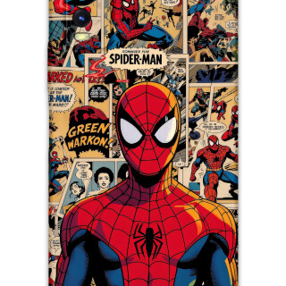 5934-vivo-y20-y11s-spiderman-desenli-kilif